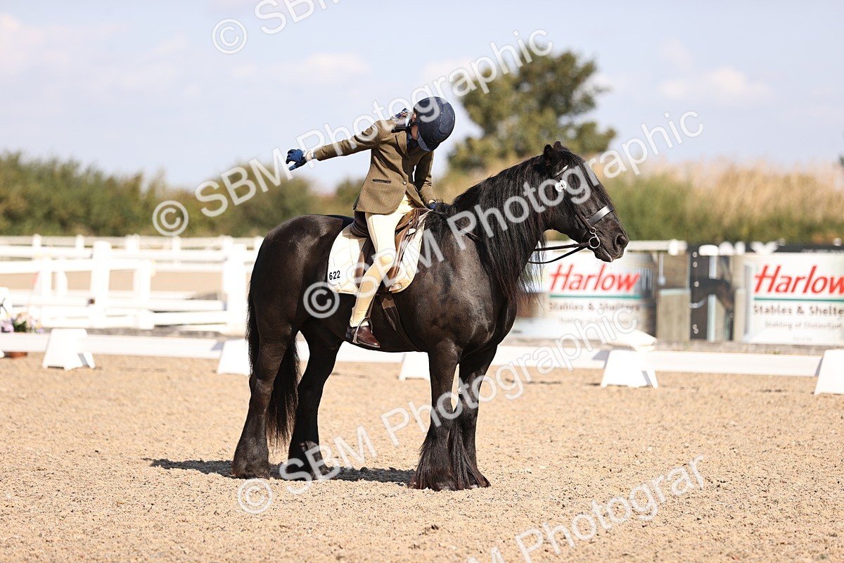 SBM_03483 - CLass 35 Intro 3