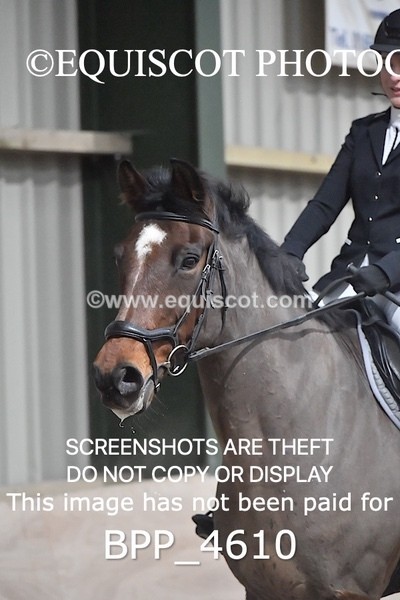 BPP_4610 - CLASS 6 80CM