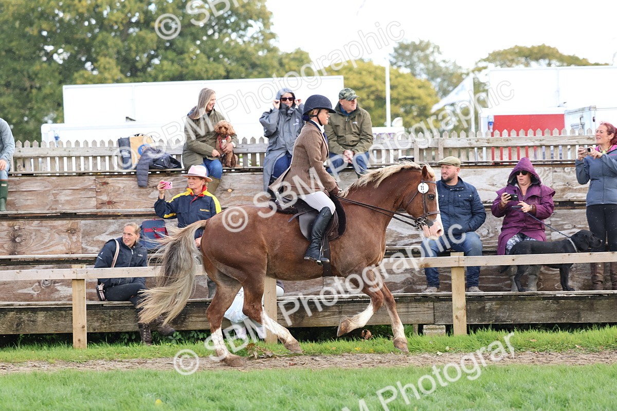 SBM_47664 - S28 - Veteran Ridden