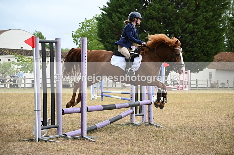 WJ6_0200 - Class 13 Novice Jumping 60cm