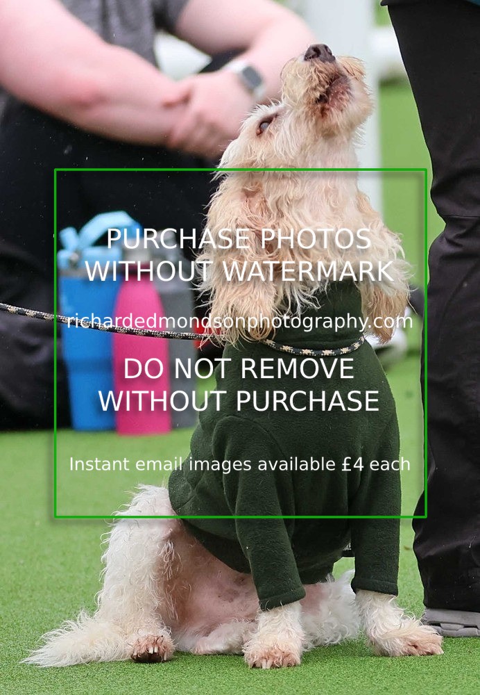 533A1399 - Ambleside Hockey vs Keswick Hockey (20/9/25)