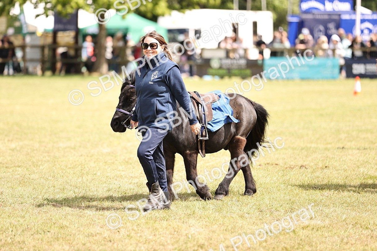 SBM_16377 - Dinky Derby