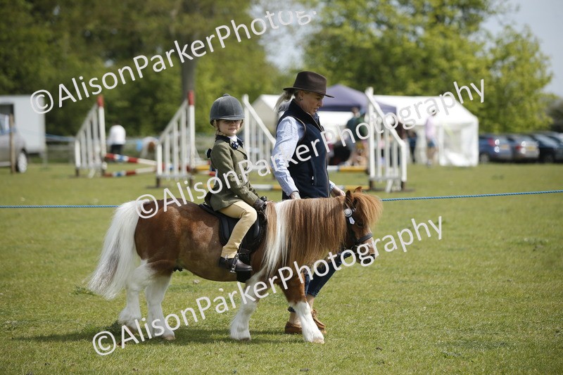 20260426-1843 - Class 7 - Pony Judge Would Most Like To Take Home