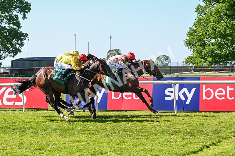 170525-Race 5-Mirsky-8516 - Race 5