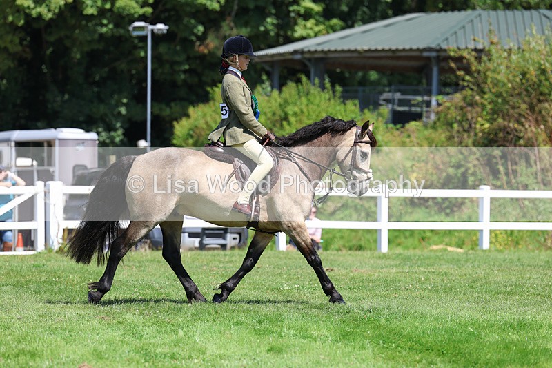 3E7A9119 - Working Hunter Championship