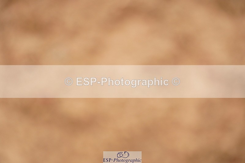 240524A-144134-04279 - Cls 18 National 1.40m