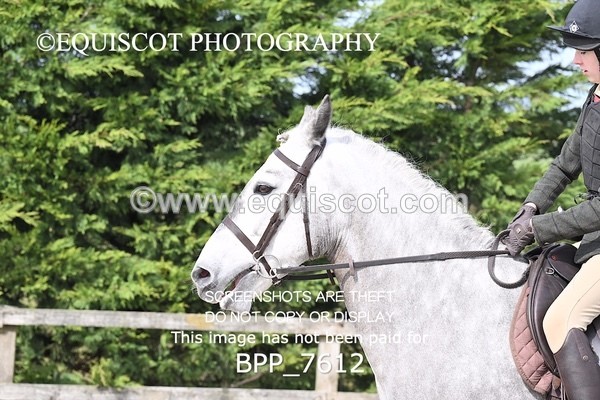 BPP_7612 - RING 1  (RIDDEN HORSES / IN HAND / VETERAN ETC)