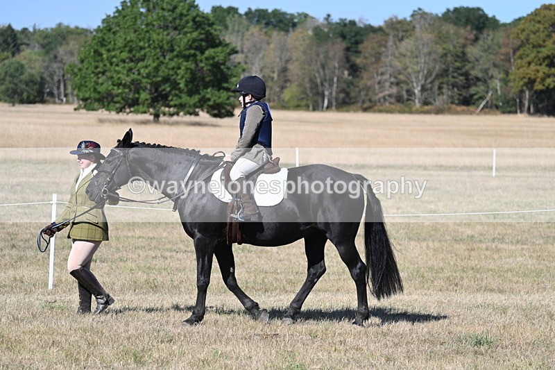 WJ7_2290 - Class 44 Child's Best Friend