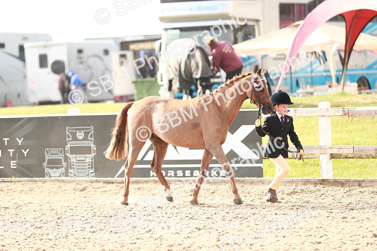 SBM_09865 - Class 203 Young Handler, 10 years and under