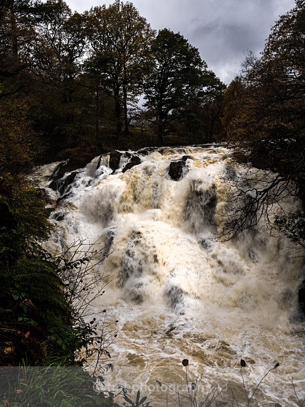 Swallow Falls. - Wales