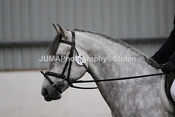 SIAL4075 - CAbin Dressage 5th july 2025