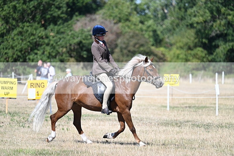 WJ7_4021 - Class 9 Mountain & Moorland Ridden
