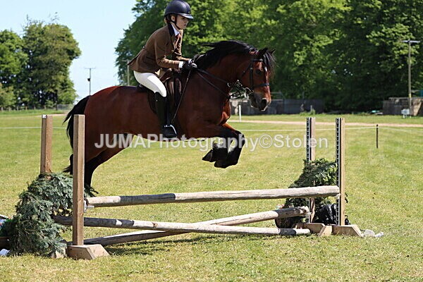 IMG_3721 - Working Hunter
