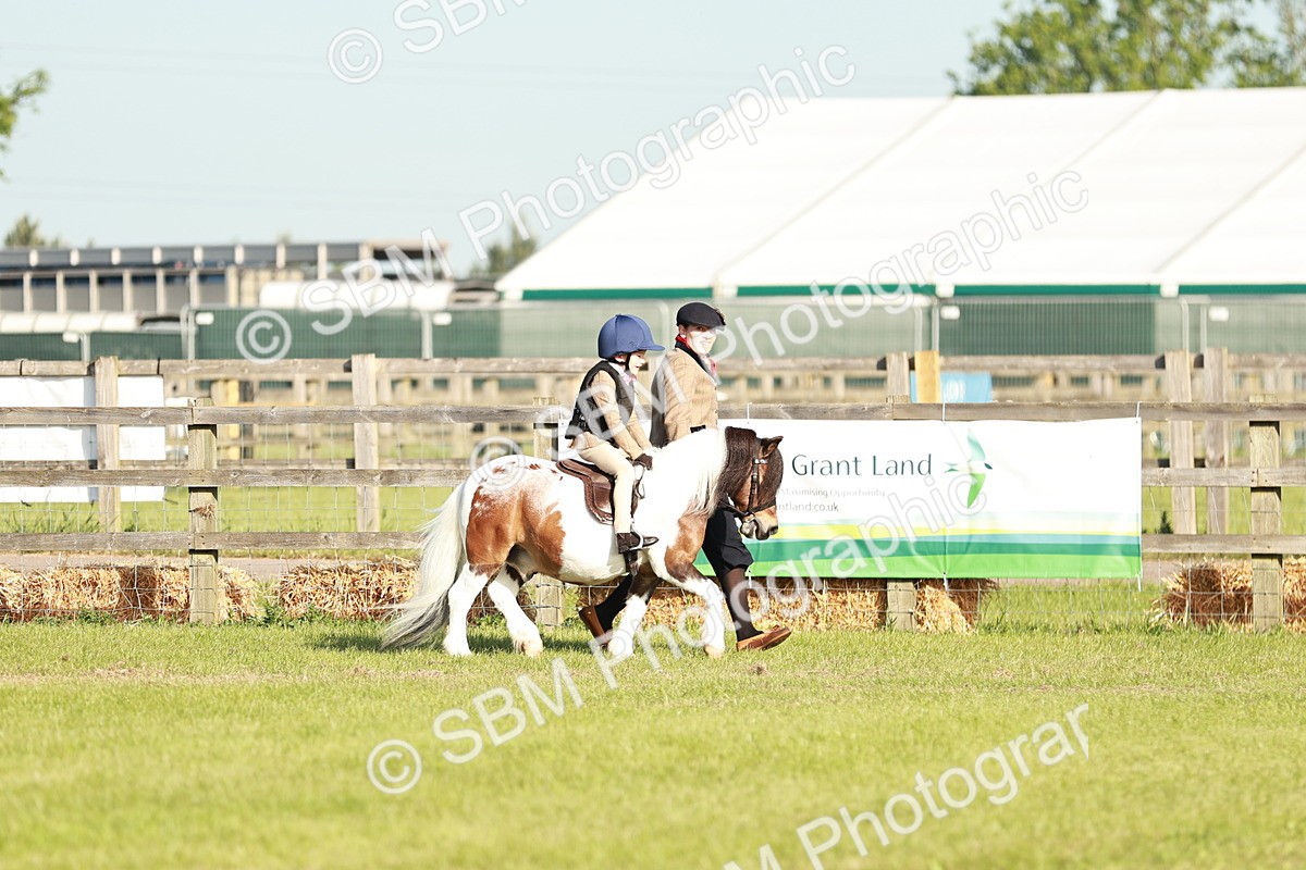 SBM_11063 - Class 106-107 - BSPS LIHS Working Sports Pony