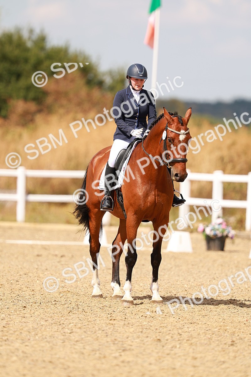 SBM_018604 - Class 9 - N5 Bronze 11.57.13.07