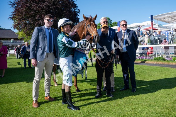 140525-Race 6-Ballistic Missile-5047 - Race 6 4.55pm British Stallion Studs EBF Novice Stakes