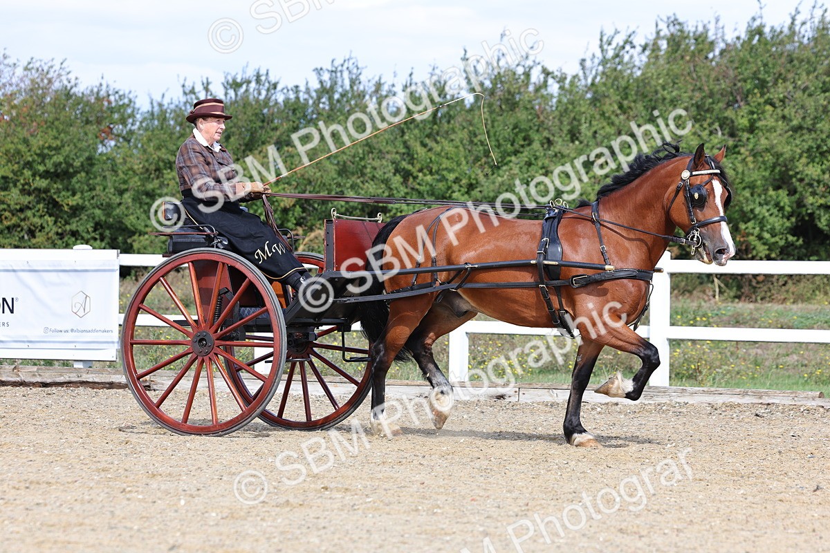 SBM_000901 - Class 8 - Novice Horse or Pony to any vehicle