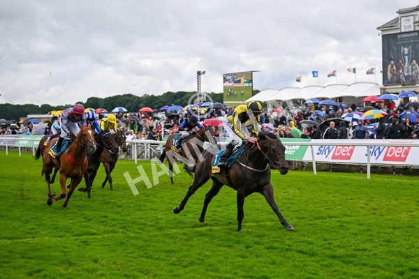 150624-Race 4-Jamess Delight-7385 - Race 4 3.35pm Churchill Tyres Supporting Macmillan Sprint Handicap