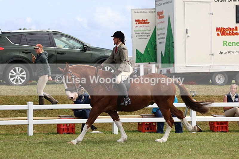 3E7A0216 - Class 6: Rising Star Maxi Cobs