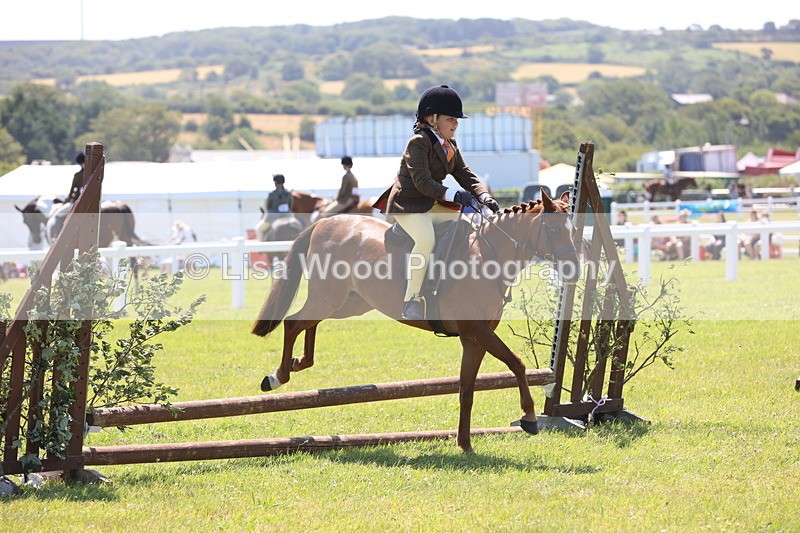 JPP_2246 - Class 20: Tiny Tots Working Hunter Pony