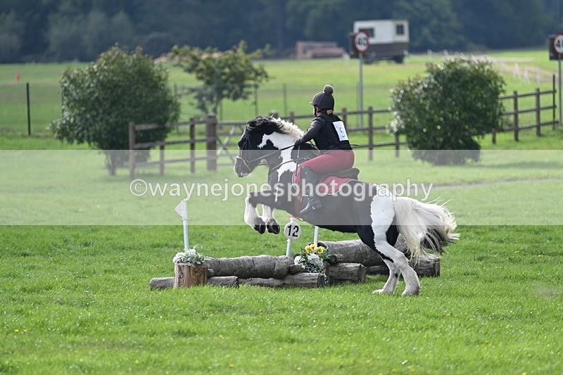 WJ7_3765 - 40cm Time 10:26 to 10:42