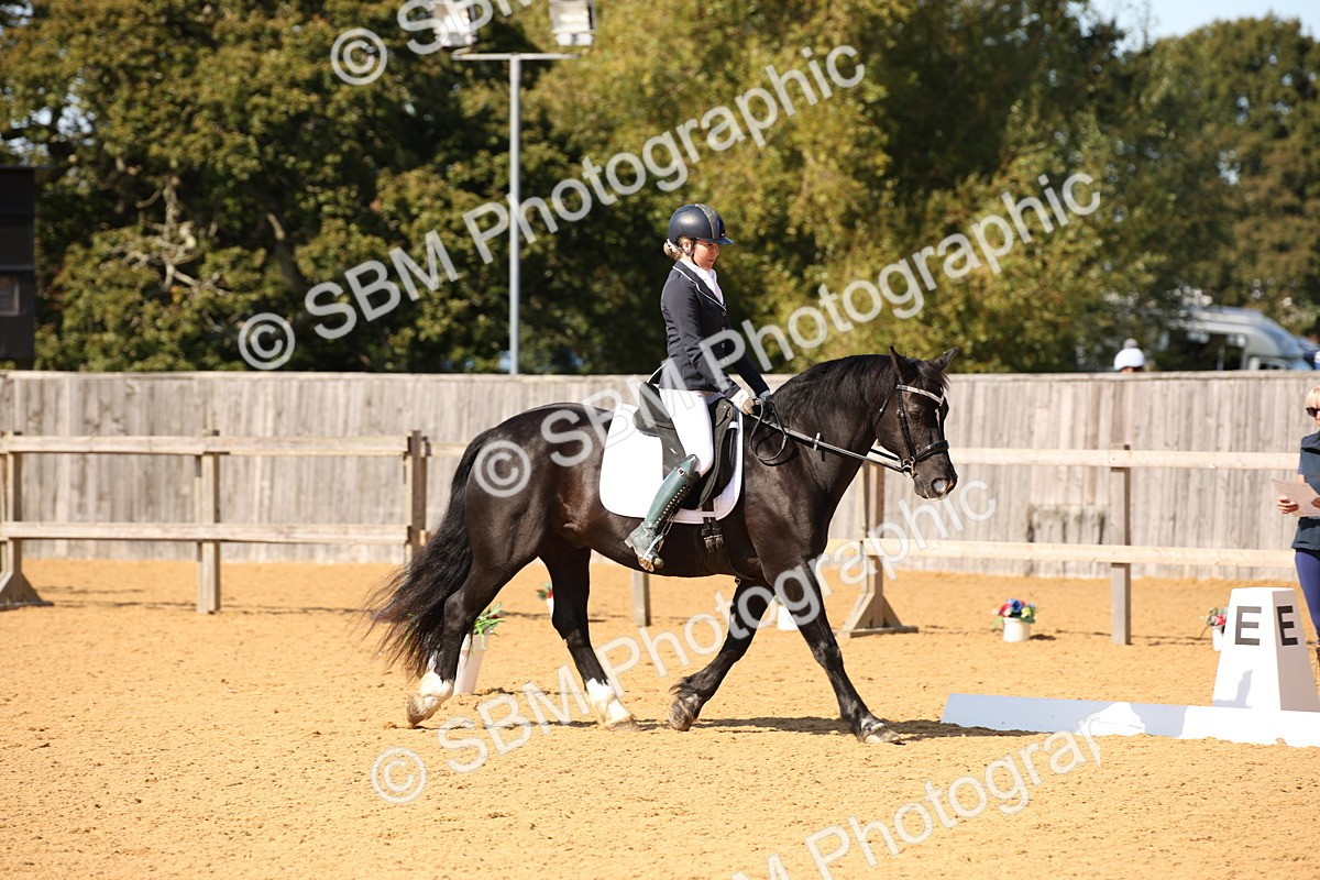 SBM_24215 - D5 - Small Tour Championship - Intro C