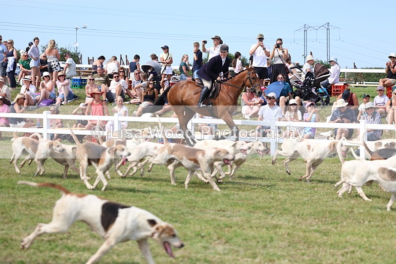 3E7A0164 - Parade of Hounds