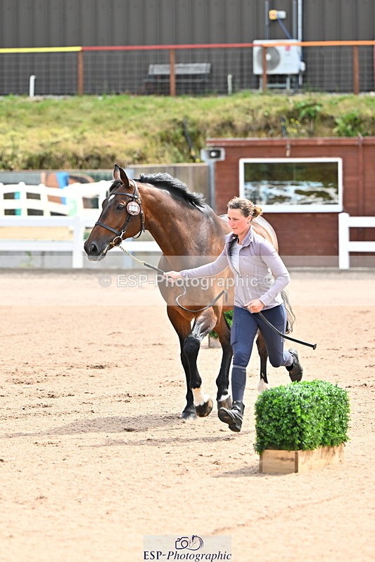 240718A-105236-00885 - Trot Up 11am to 12pm