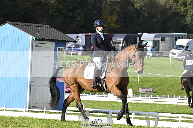 251023A-151015-04538 - E-386-Zara.Head