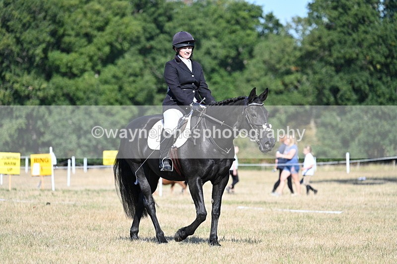 WJ7_9230 - Time 09:27 to 10:03