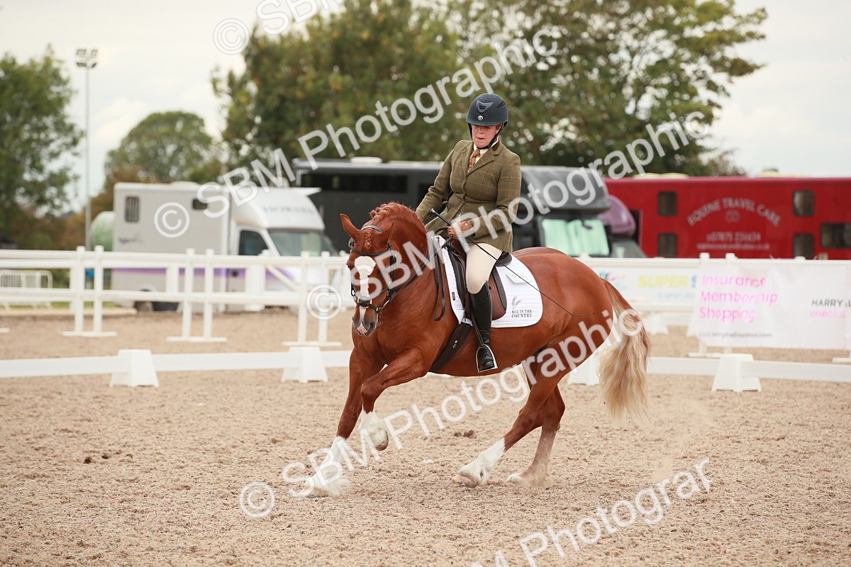 SBM_06096 - Class 33 - Elementary 1