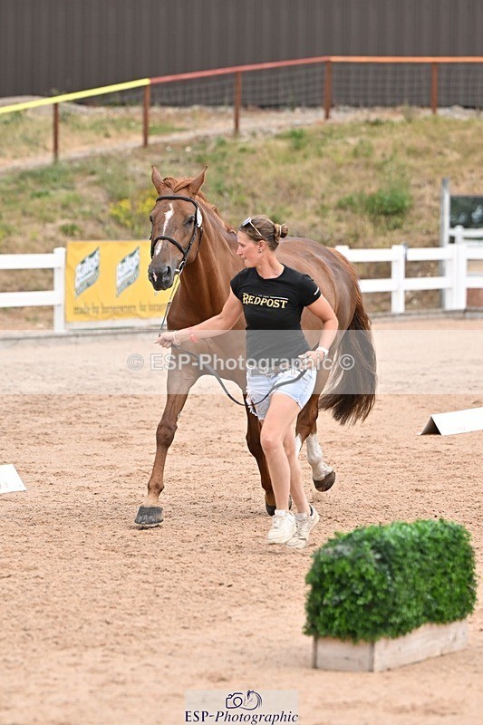 250716-143100-01160 - Trot Up 2.30 to 3.30