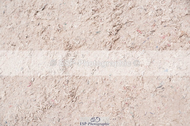 250525-103846-09142 - Cls 32 A&B Snr Brit Nov & 90cm Open