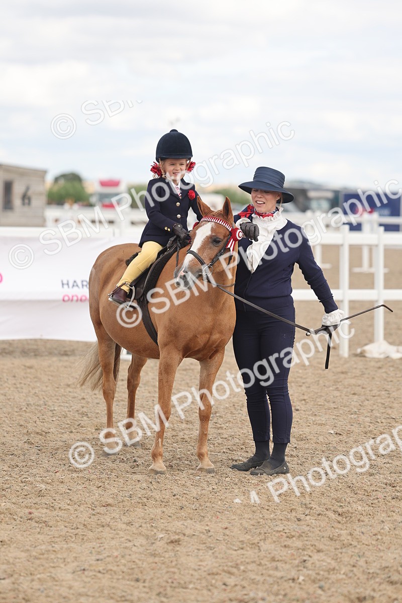 SBM_15814 - Class 309 - Lead Rein Pony