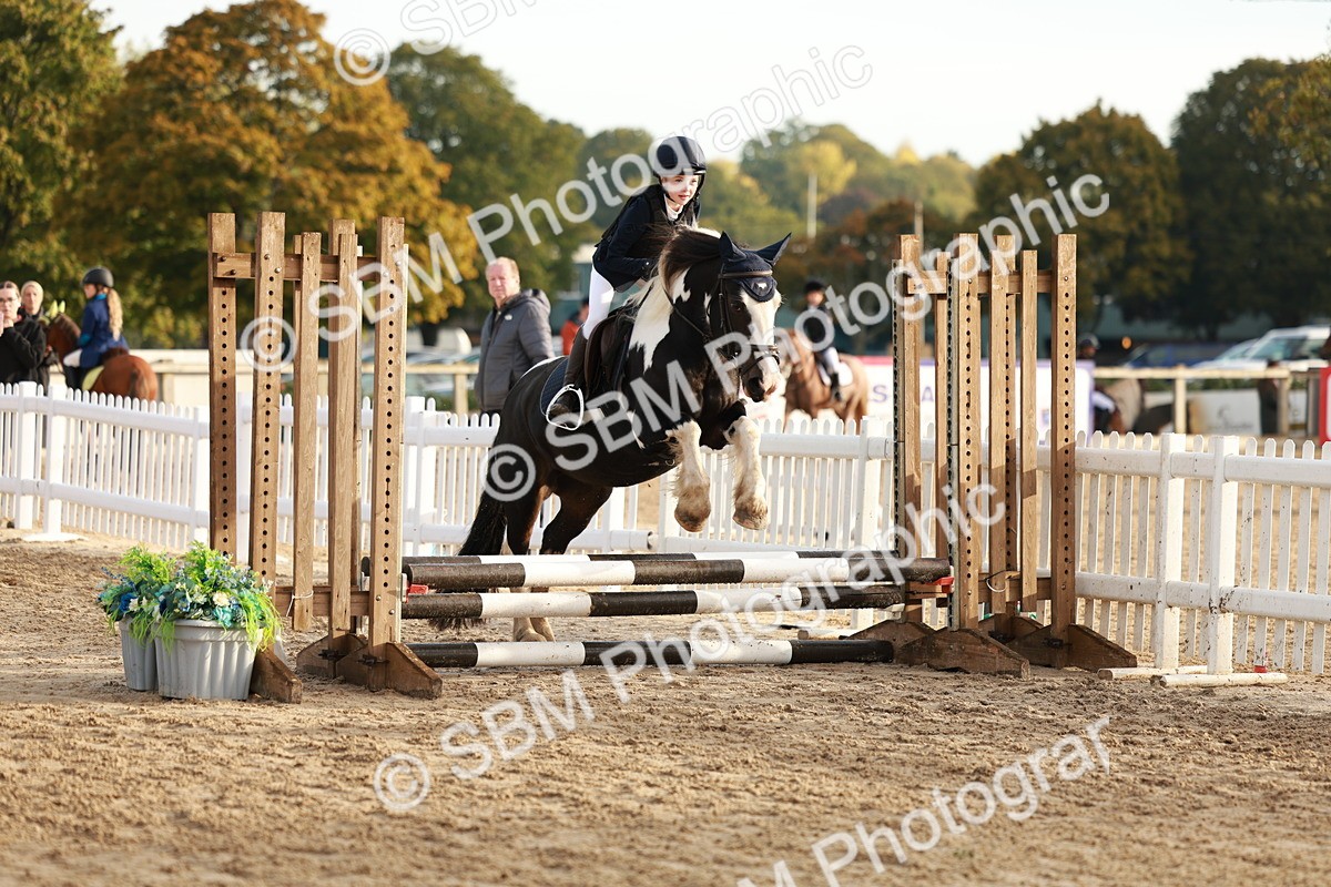 SBM_55421 - J11 - Junior Pony 50cm Championship
