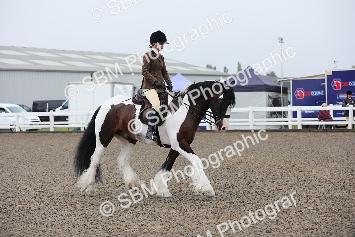 SBM_19925 - Class 801 - Ridden Veteran
