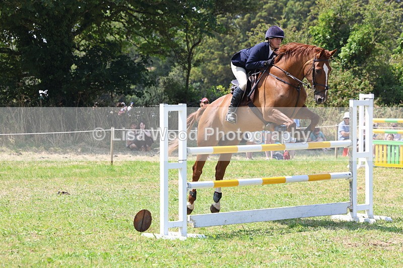 3E7A3351 - Class 10: Senior Foxhunter/1.20 open
