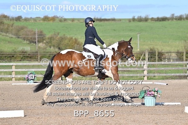 BPP_8655 - SHORT ARENA