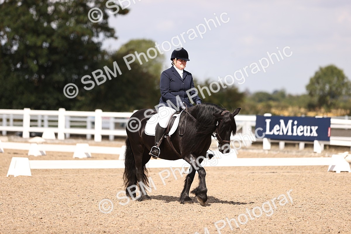 SBM_03700 - CLass 35 Intro 3