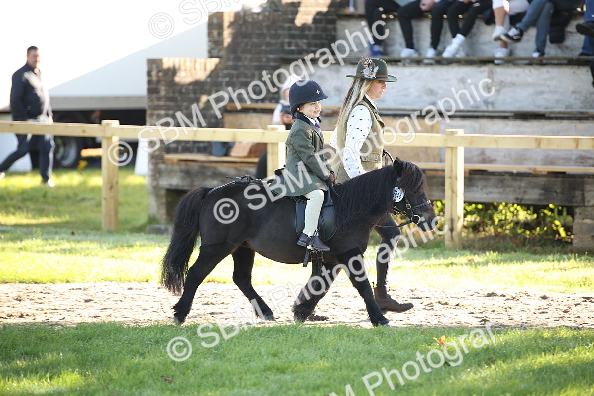 SBM_35676 - S9 - Lead Rein Equitation