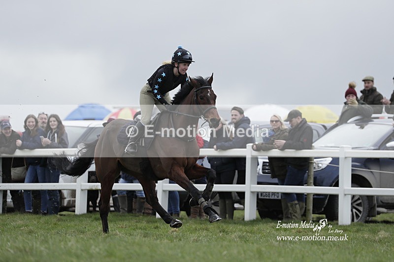 PtP 260323 0182 - New Forest Hounds Point-to-Point Larkhill 26/03/23