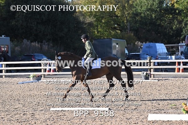 BPP_9588 - LONG ARENA