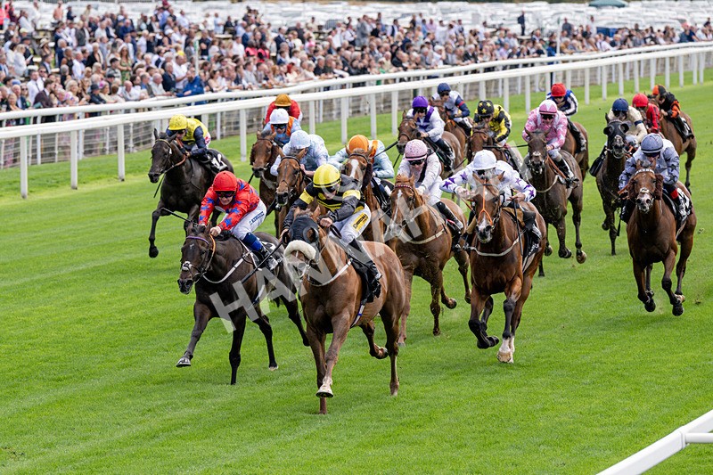190826-Race 1-Air Force One-0136 - Race 1 13.50pm Hong Kong Jockey Club World Pool Handicap