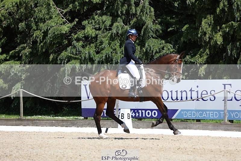 230526-134713-06392 - 368-COIRBAN_SARCO_DELUX-Rebecca_Gibbs-WEDTrotUp+DR