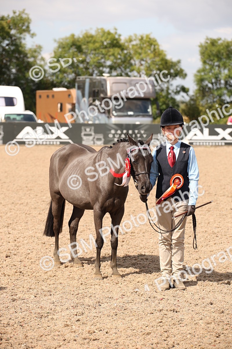 SBM_03799 - Class 19 Judge's Favourite