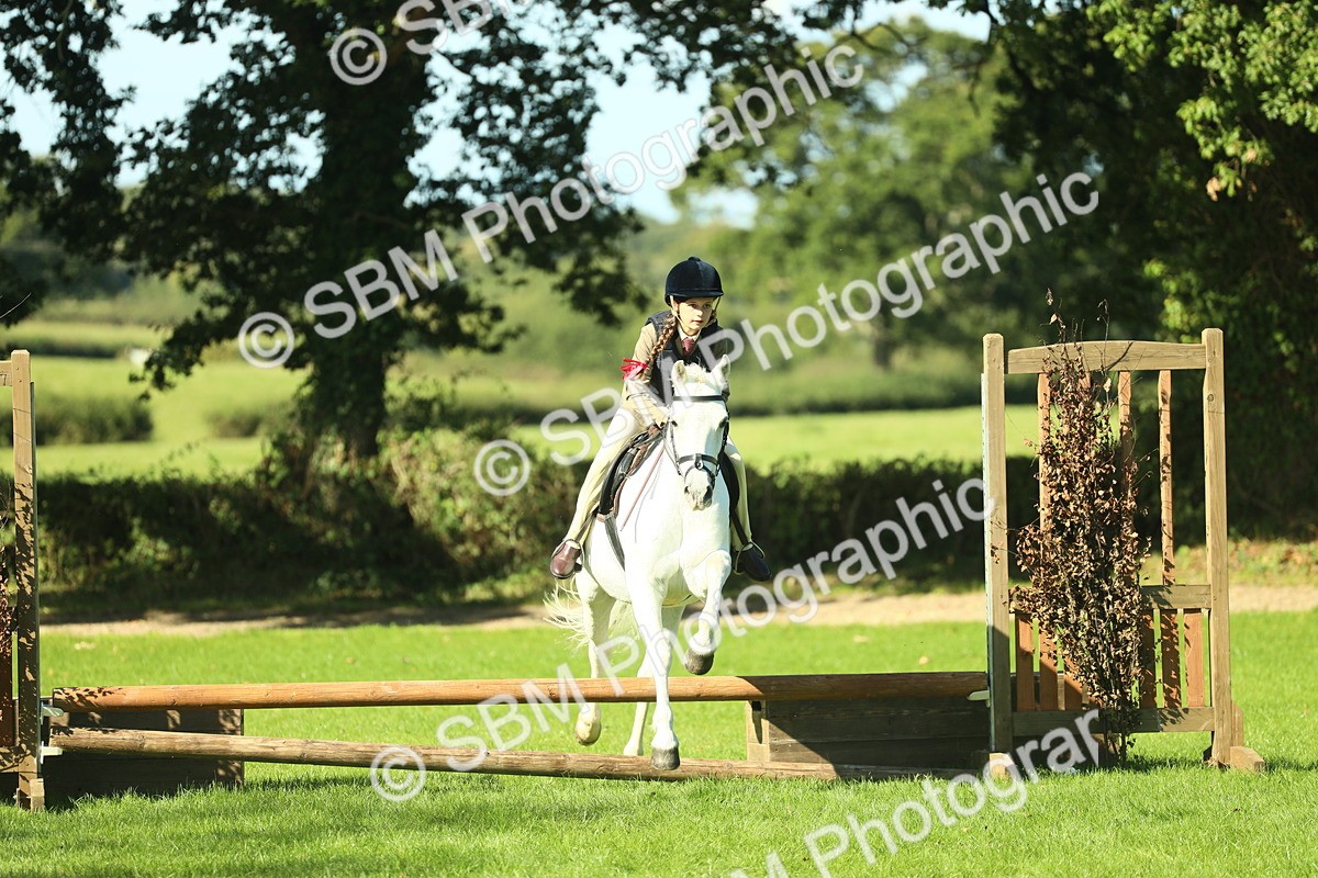 SBM_37504 - S29 - Novice & Newcomers Working Hunter Pony
