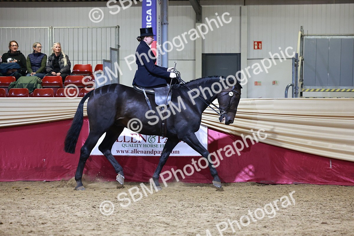 SBM_20944 - Class N - Side Saddle Champ