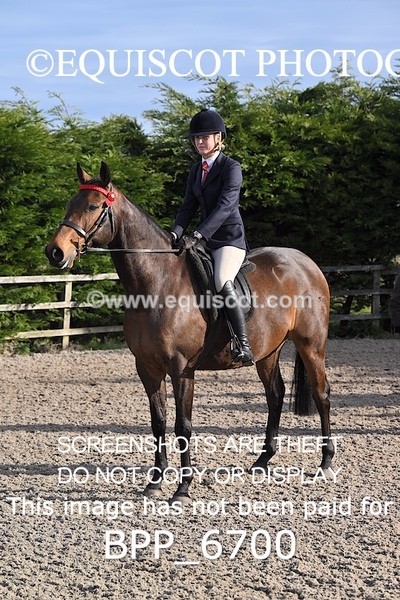 BPP_6700 - RING 1  (RIDDEN HORSES / IN HAND / VETERAN ETC)