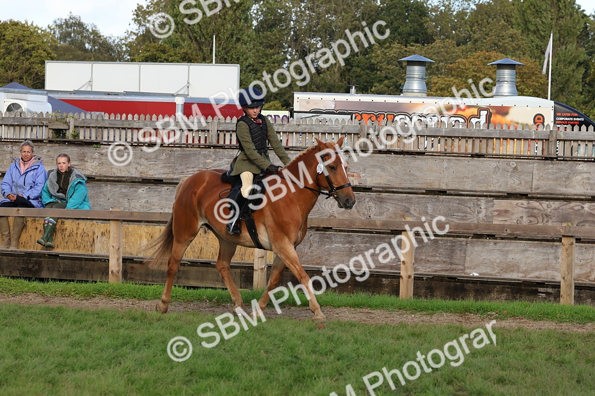 SBM_52588 - S13 - Pony Club Pony