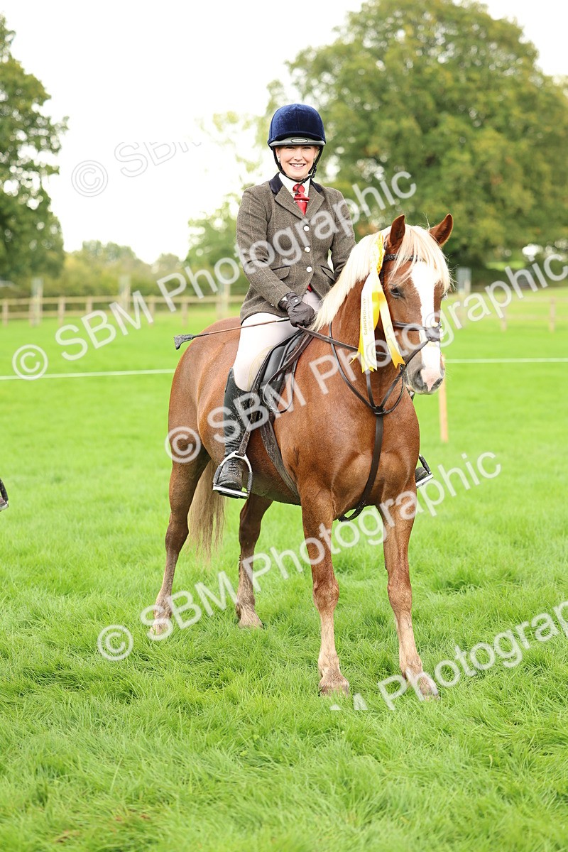 SBM_41897 - S32 - Mountain & Moorland Working Hunter Pony
